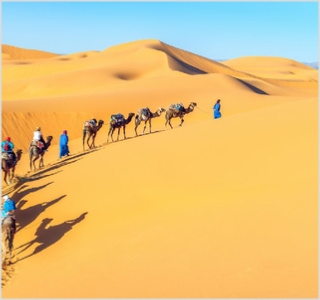 Must See Attractions in Morocco