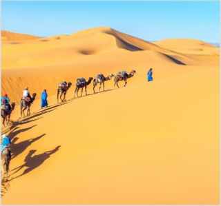 Must See Attractions in Morocco