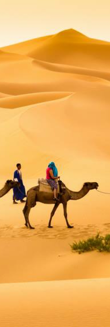Tours from Marrakesh